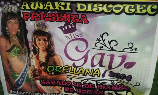 OK CONCURSO DE MISS GAY 2014