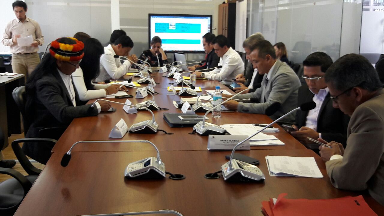 LEY ESPECIAL AMAZÓNICA, VETADA PARCIALMENTE POR EL EJECUTIVO